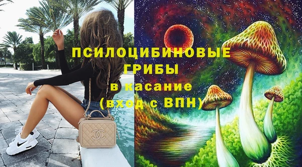 крисы Наволоки